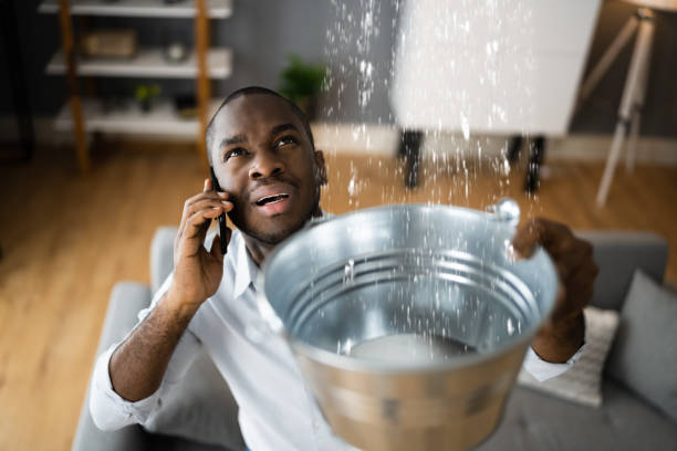 Best Mold removal after water damage  in Salina, KS