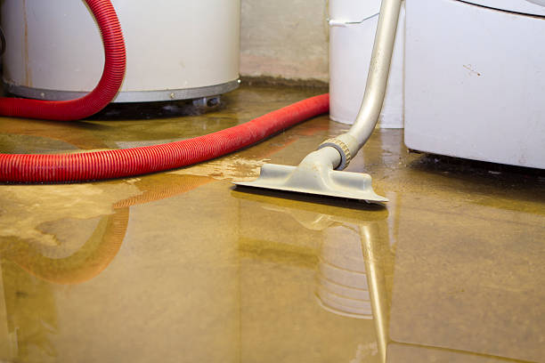Best Ceiling water damage repair  in Salina, KS