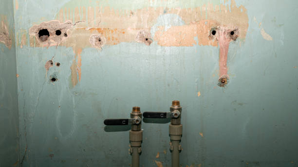 Best 24/7 water damage repair  in Salina, KS