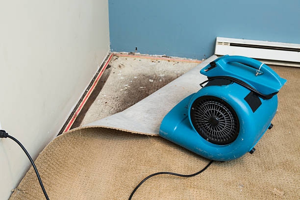 Best Local water damage restoration  in Salina, KS